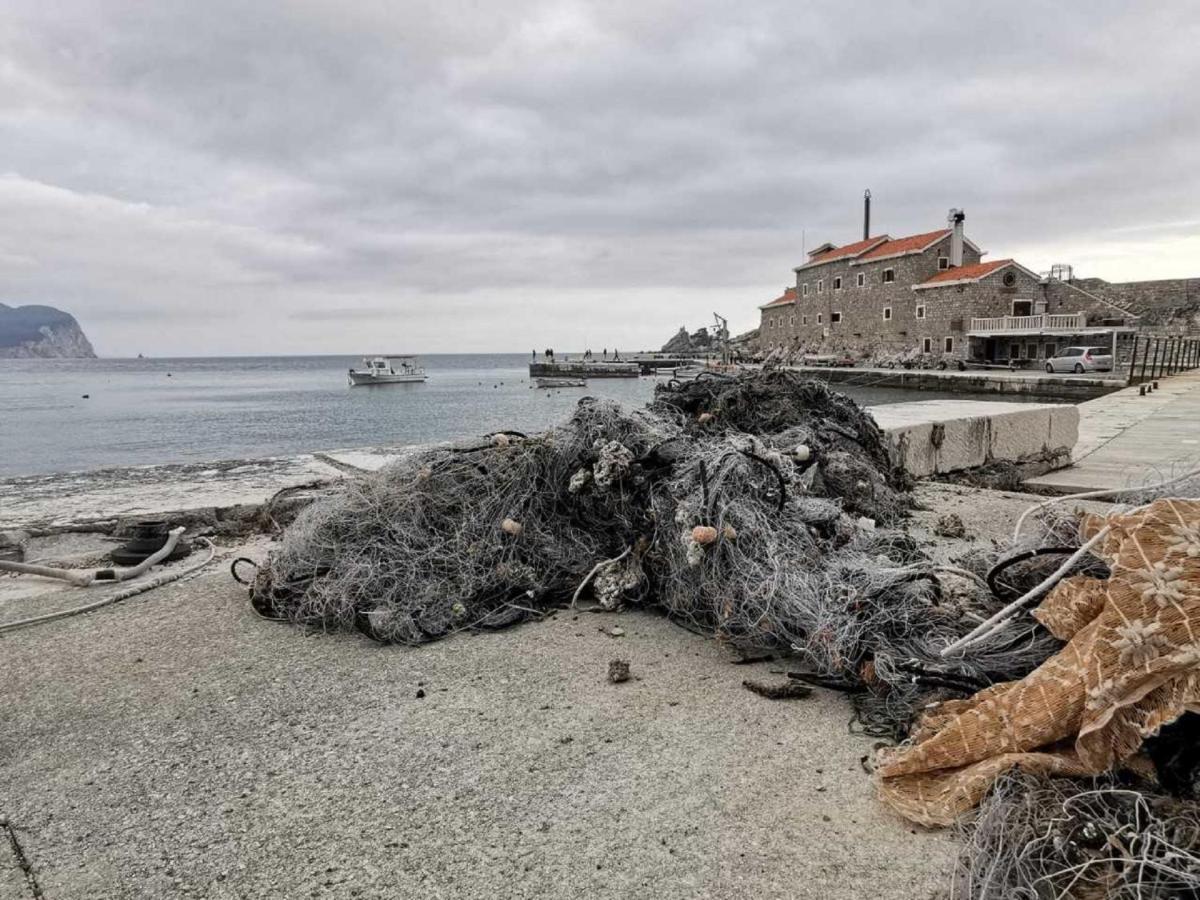 Guest House Medin Petrovac Εξωτερικό φωτογραφία